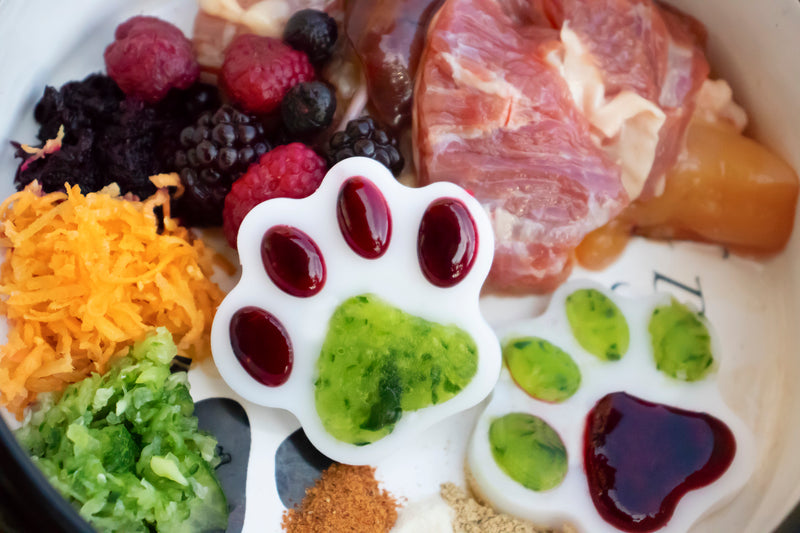 Improve your dogs health with fresh food!