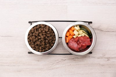 Help lower your dog's risk of cancer with some fresh food!